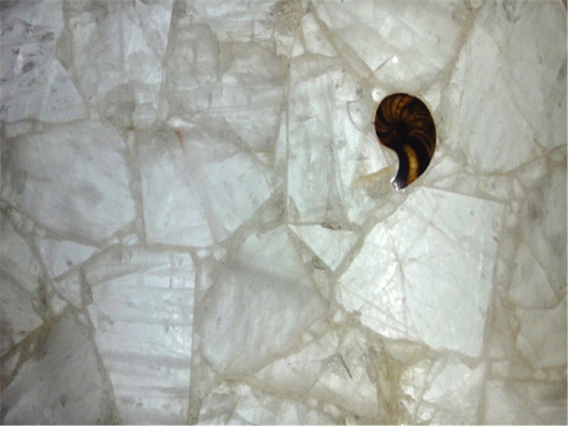 China White Crystal Gems Stone With Shells Slabs